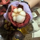 [보라카이 여행] 보라카이 3일차 (아이러브비비큐, 아이스플레이크, 레게머리 후기)
