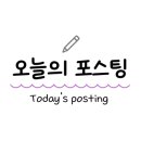 베리 핏 피티 이미지