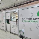 미코르뷰티