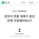 강아지 콧물 재채기 증상 이미지