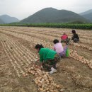 사봉면-6 이미지