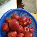 복성농장 이미지