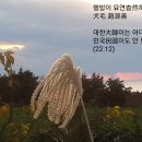 묘연 이미지