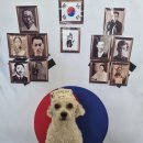 덕분이야모든개 이미지