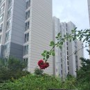 제1166회5670 아름다운 동행 (북한산. 족두리봉)맨발 대장님 안내산행 이미지