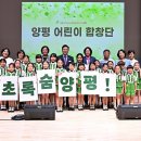 186 이미지