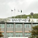 실비숯불 | 하이원숨은맛집 숯불구이 고기 잘하는 하이원실비식당