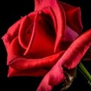 허준소아청소년과의원 이미지