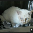 MS마트(후평점) 이미지