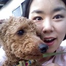 기세찬