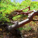 상대농장 이미지