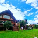 경주 수약국 이미지