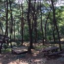 다산숲 이미지