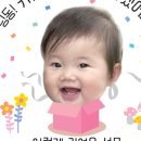 디자인키위 이미지