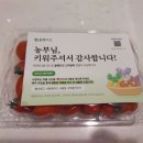 일품테크 | 올웨이즈 올팜 (앱테크 농사 후기)