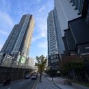 시민공원일동미라주시티 이미지