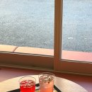 아코코 | 광주 서석동 카페 포코아코코 점심시간 솔직후기