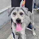 최종주동물병원 이미지