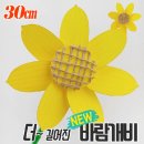 오렌지몰 이미지