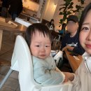 선우마트 | 선우기록 362d-376d