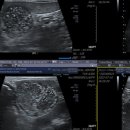 로얄동물외과수술센터 이미지