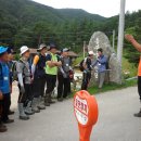 지리산산삼산야초 이미지
