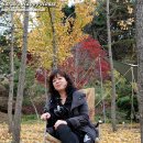 장수삼일농장 | 제 4회 生과부캠핑후기 - 시메온 농장