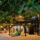 토가식당 이미지