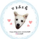 비단로 이미지
