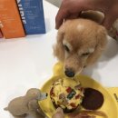 망원휴개소 이미지