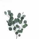 디자인트리 이미지