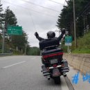 정선군 버들고개 이미지