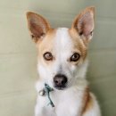 포항시북구26 이미지