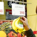 신선농수산물유통 이미지