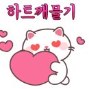 보라곰케이크 이미지