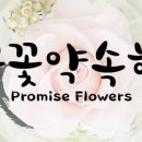 꽃꽃약속해 이미지