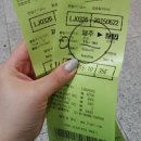 아라파파 이미지