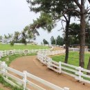 어부촌민박 | [국내/경남 남해 맛집] 어부촌 후기 / 남해 상상양떼목장근처밥집