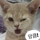 굿바이(GoodBuy) 이미지