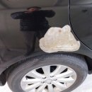 뉴이천 주유소 이미지