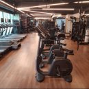 렉스휘트니스 이미지