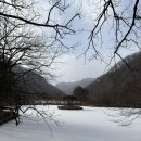 스테이 하시 | 백양사 템플스테이 - 정관스님 사찰음식 체험