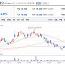 일일이사