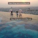 티피트레블 이미지