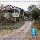 바위집염소 이미지