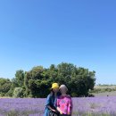 솔설별농장 | 남프랑스 여행 코스 추천 베르동협곡 보트 발랑솔 무스띠에 니스에서 프랑스 남부 내돈내산 투어