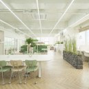 제주소호네 이미지