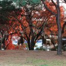 우제빌딩 이미지