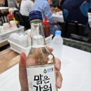 내돈내산! 주문진 회센타, 산해횟집 후기!