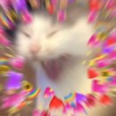 세븐일레븐전주반월중앙점 | [251215-16] 미세스그린애플 바벨 도쿄돔 콘서트 후기